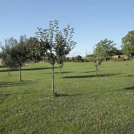 De Lez 게스트하우스