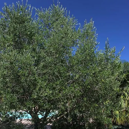 게스트하우스 De Lez 3*